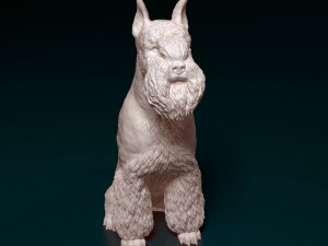 Zwergschnauzer sitting 3D-Druckmodell
