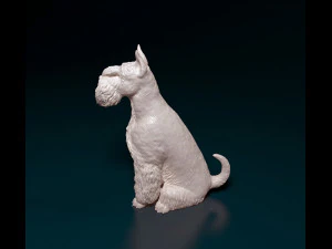 Zwergschnauzer sitting 3D Print Model