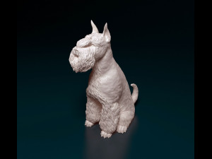 Zwergschnauzer sitting 3D-Druckmodell