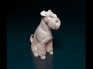 Zwergschnauzer sitting 3D-Druckmodell