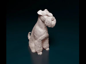 Zwergschnauzer sitting 3D Print Model