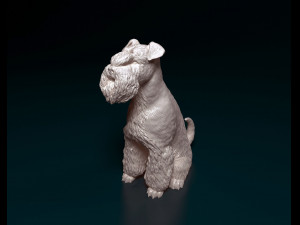 Zwergschnauzer sitting 3D-Druckmodell