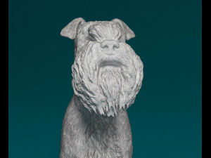 Zwergschnauzer sitting 3D-Druckmodell
