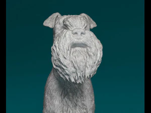 Zwergschnauzer sitting 3D Print Model