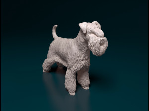 Zwergschnauzer 3D Print Model