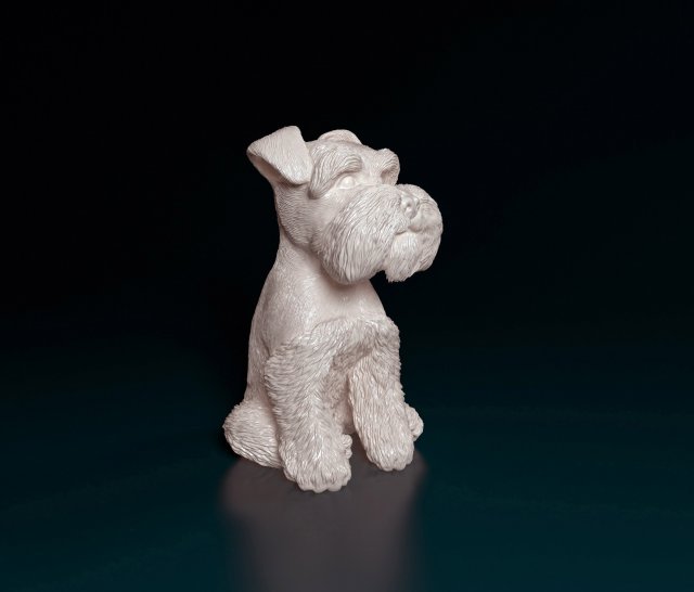 Zwergschnauzer dog 3D प्रिंट मॉडल .c4d .max .obj .3ds .fbx .stl .blend 