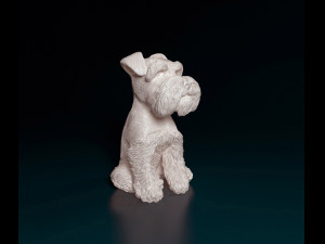 Zwergschnauzer dog 3D Print Model