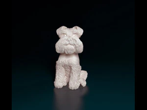 Zwergschnauzer dog 3D Print Model