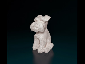Zwergschnauzer dog 3D प्रिंट मॉडल
