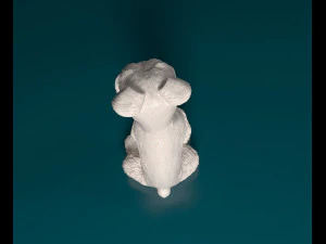 Zwergschnauzer dog 3D Print Model