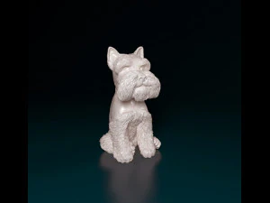 Zwergschnauzer dog 3D Print Model