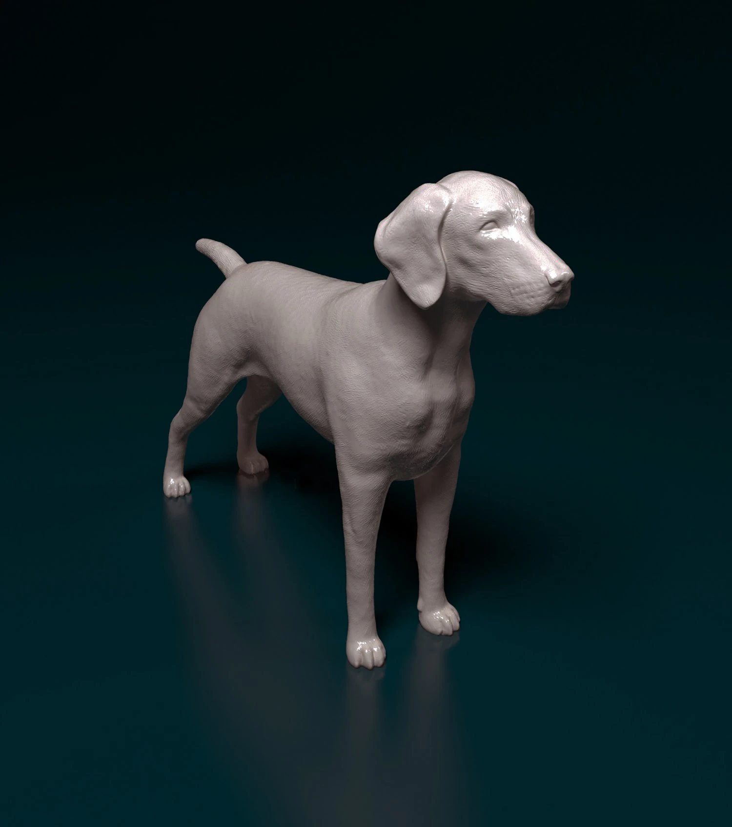 Deutsch Kurzhaar 3D Print Model .c4d .max .obj .3ds .fbx .stl .blend 