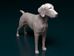 Deutsch Kurzhaar 3D printmodel