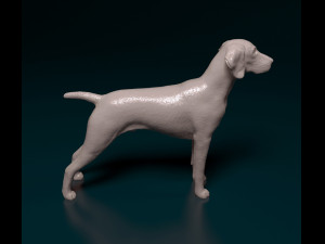 Deutsch Kurzhaar 3Dプリントモデル