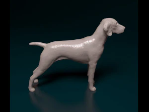 Deutsch Kurzhaar 3D Print Model