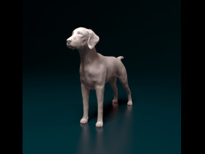 Deutsch Kurzhaar 3Dプリントモデル