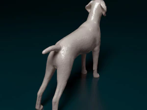 Deutsch Kurzhaar 3D Print Model