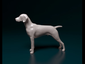 Deutsch Kurzhaar 3Dプリントモデル