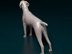 Deutsch Kurzhaar 3D Print Model