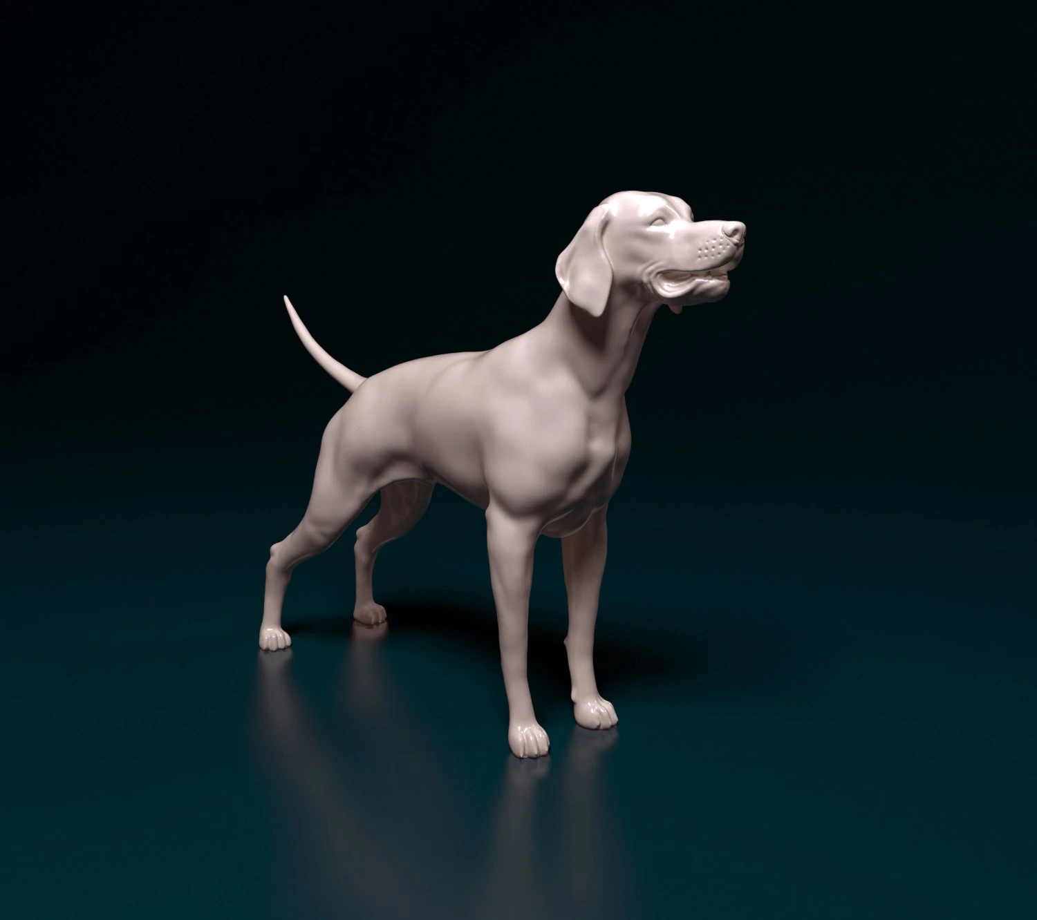 English Pointer 3D Print Model .c4d .max .obj .3ds .fbx .stl .blend 