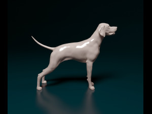 English Pointer 3D Print Model