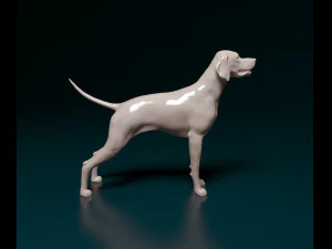 English Pointer 3D Print Model