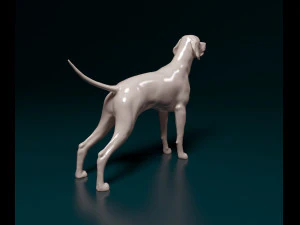 English Pointer 3D Print Model