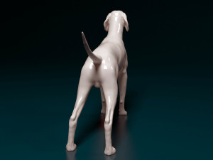 English Pointer 3D Print Model