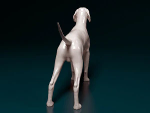 English Pointer 3D Print Model