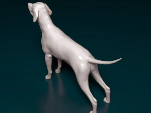English Pointer 3D Print Model