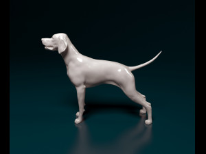English Pointer 3D Print Model