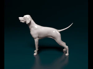 English Pointer 3D Print Model