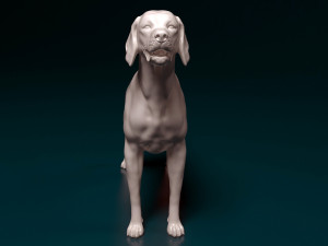 English Pointer 3D Print Model