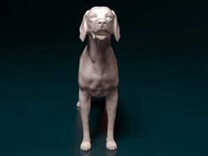 English Pointer 3D Print Model