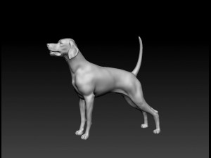 English Pointer 3D Print Model