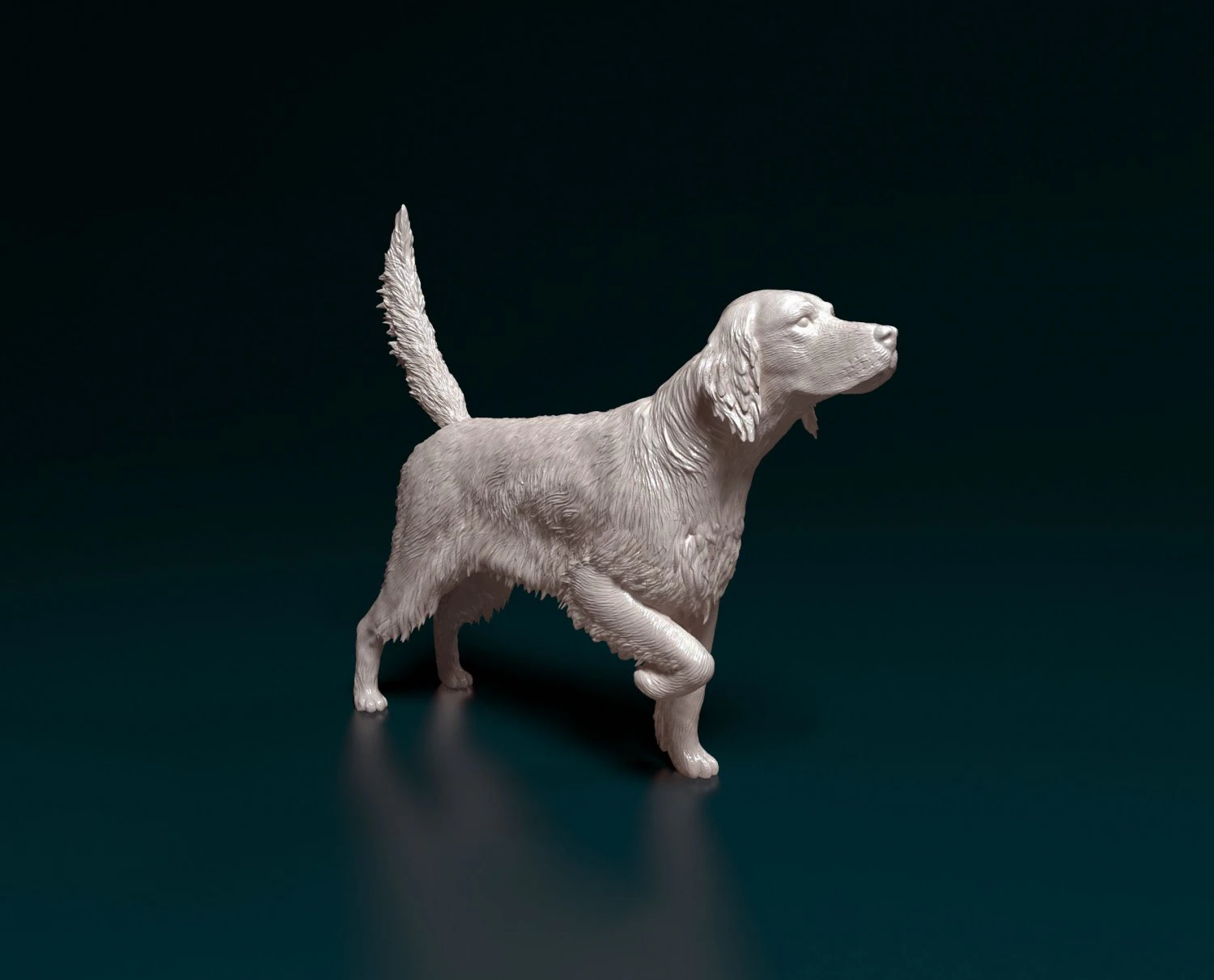 English Setter 3D Print Model .c4d .max .obj .3ds .fbx .stl .blend 