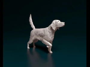 English Setter 3D Print Model