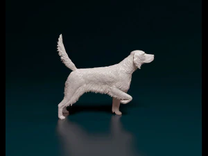 English Setter 3D Print Model