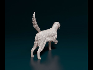English Setter 3D प्रिंट मॉडल