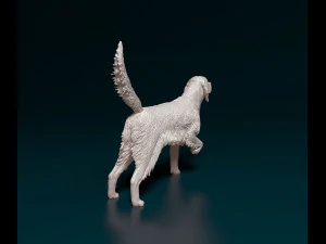 English Setter 3D Print Model