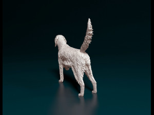 English Setter 3D प्रिंट मॉडल