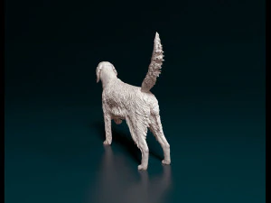 English Setter 3D Print Model