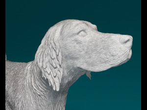 English Setter 3D प्रिंट मॉडल