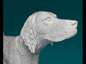 English Setter 3D Print Model