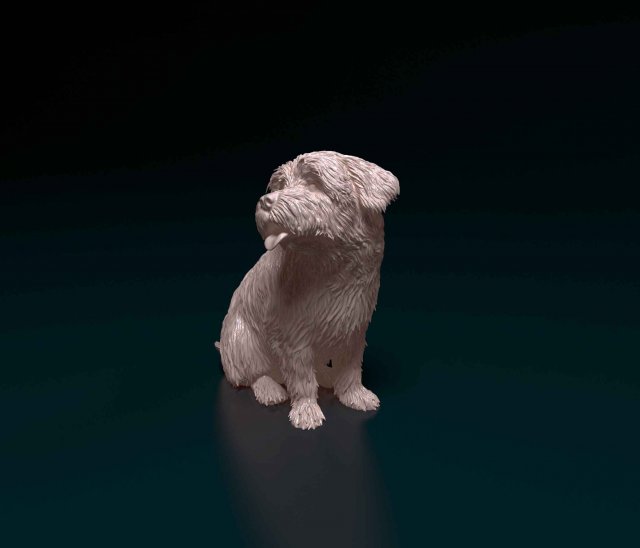Maltese 3D Print Model .c4d .max .obj .3ds .fbx .stl .blend 