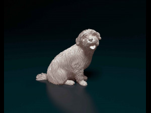 Maltese 3D Print Model