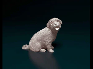 Maltese 3D Print Model