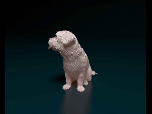 Maltese 3D Print Model