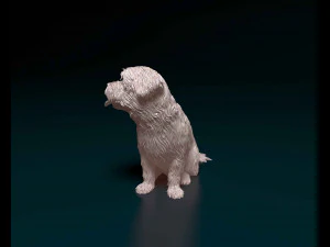 Maltese 3D Print Model
