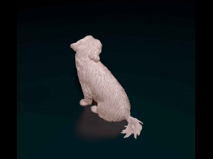 Maltese 3D Print Model